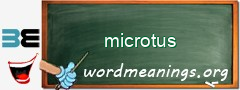 WordMeaning blackboard for microtus